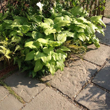 Load image into Gallery viewer, Westminster Paving Lancashire Mill