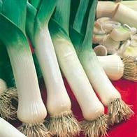 Leek Lyon 2 - Prizetaker