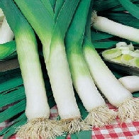 Leek Musselburgh