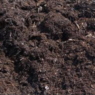 Mushroom Compost