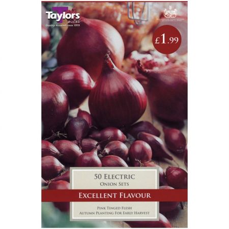 50 Electric Onion Sets