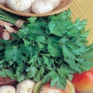 Parsley Giant of Italy