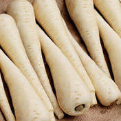 Parsnip Javelin F1