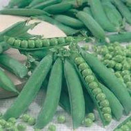 Pea Klevedon Wonder