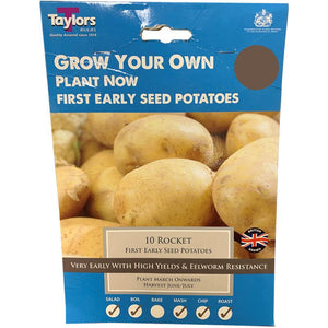 Taylors Bulbs - Rocket - First Early Seed Potatoes (10 Pack)