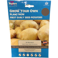 Taylors Bulbs - Rocket - First Early Seed Potatoes (10 Pack)