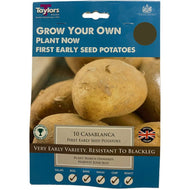 Taylors Bulbs - Casablanca - First Early Seed Potatoes (10 pack)
