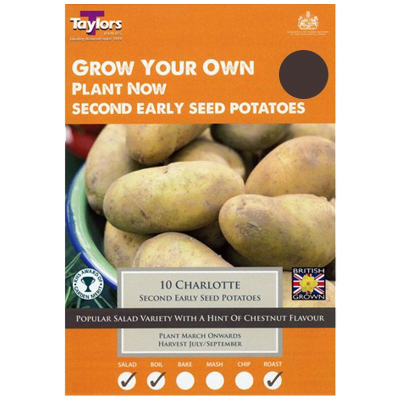 seed potatoes to plant now Taylors Bulbs - Charlotte