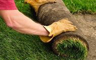 All-purpose lawn turf £4 per square metre